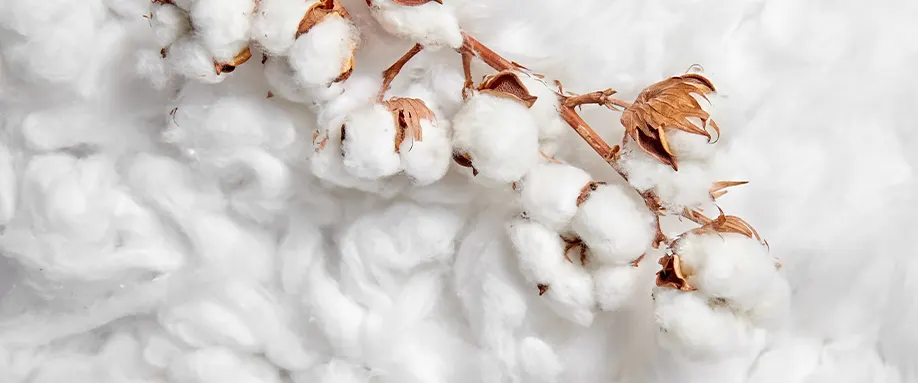Why-you-Should-Sleep-in-Cotton-Sheets-FI