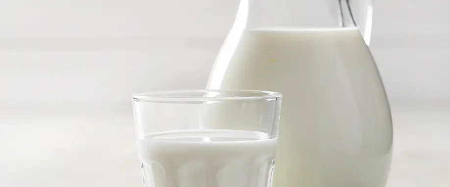 warm-milk-fi